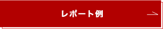 レポート例